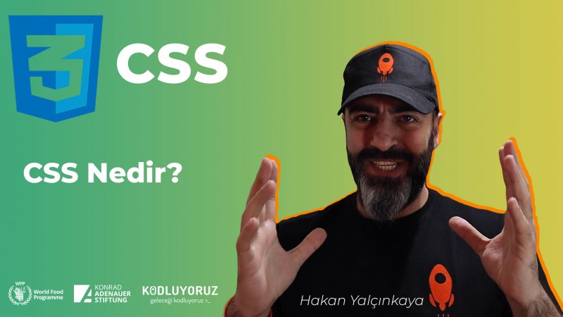 CSS