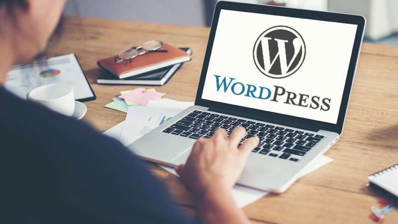 WordPress Kullanarak Web Sitesi Hazırlama-3
