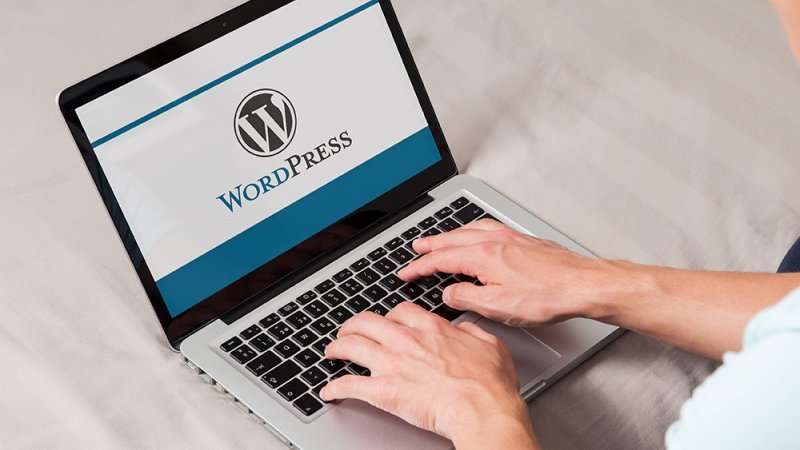 WordPress Kullanarak Web Sitesi Hazırlama