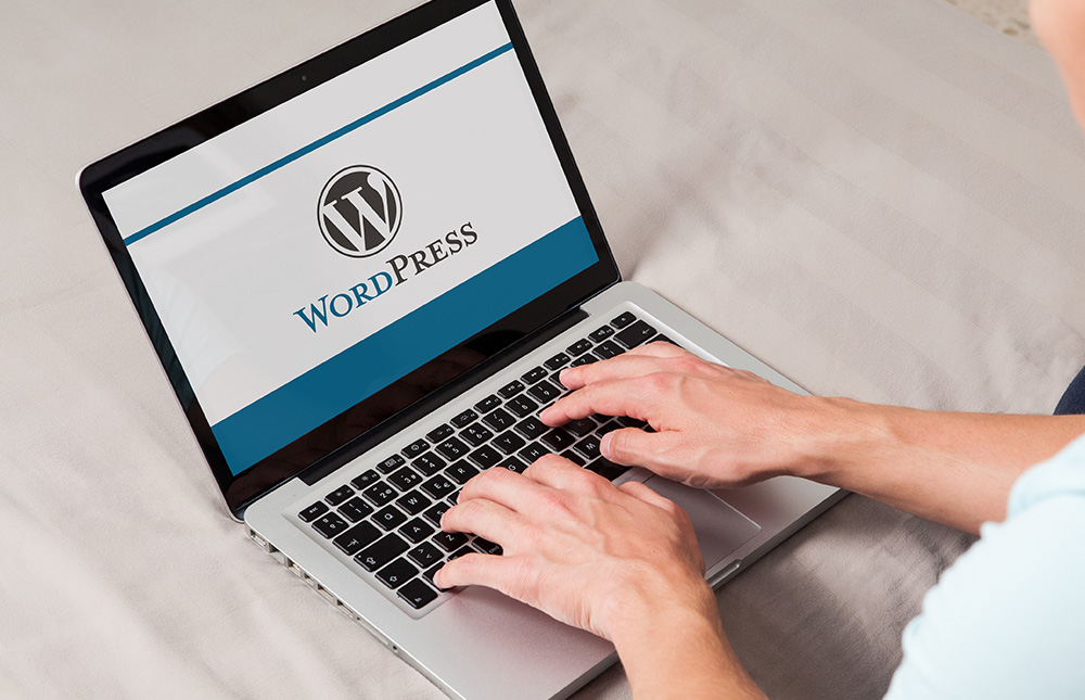 WordPress Kullanarak Web Sitesi Hazırlama