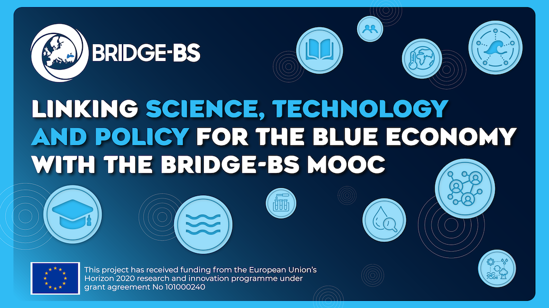 Bridge-BS MOOC