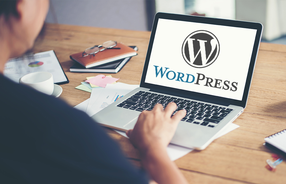 WordPress Kullanarak Web Sitesi Hazırlama-3